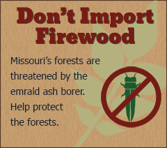 Don't import firewood - Missouri's forests are threatened by the emerald ash borer.  Help protect the forests.