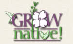Grow Native